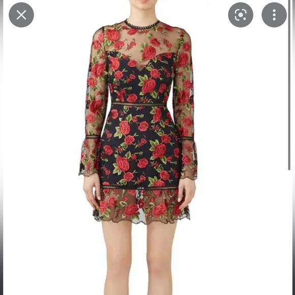 Beautiful rose dress by Saylor NY - Picture 3 of 10